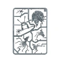 50-62-d.webp