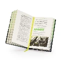 BL3310-c.webp