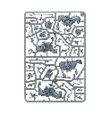 08-23-r.webp