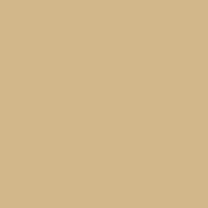 [8429551706445] Primer - Sable