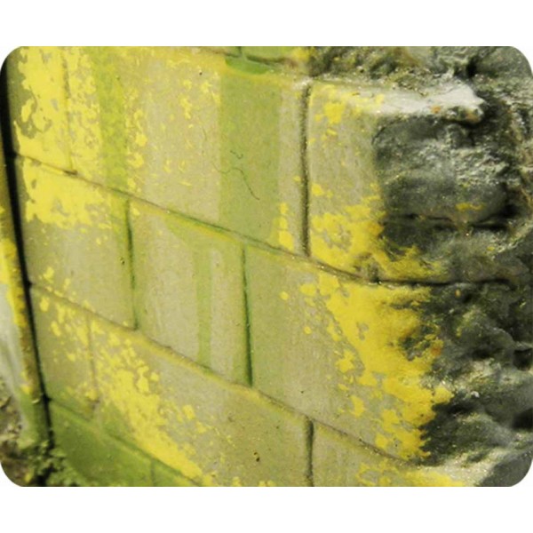 [8429551738279] Effet d'environnement moisissure et lichen