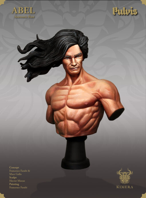 Abel Bust Anatomic Version