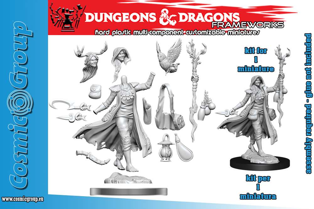 [634482750124] Dungeons & Dragons Frameworks - Human Druid Female