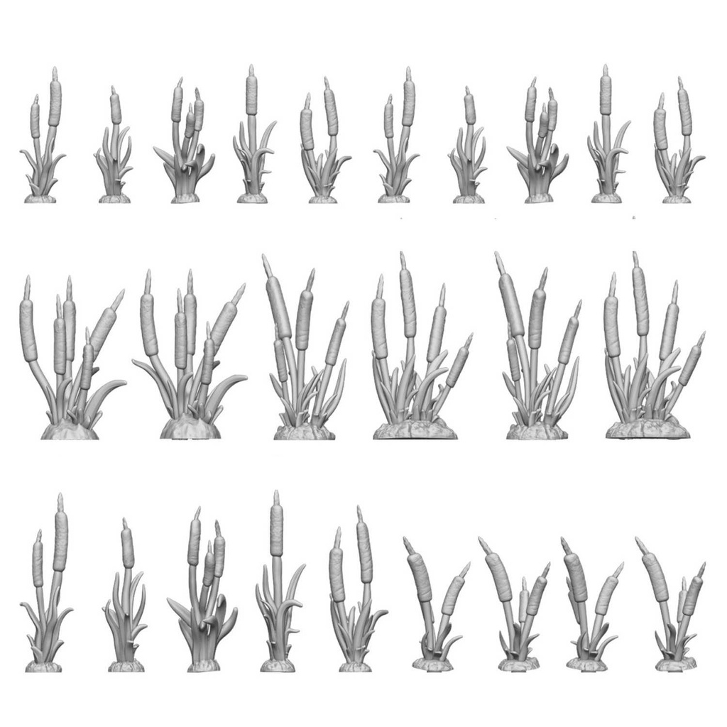 [8435646511269,11626,8435646511269ES,Plantes quenouilles 1:48-1:35] Plantes quenouilles 1:48-1:35
