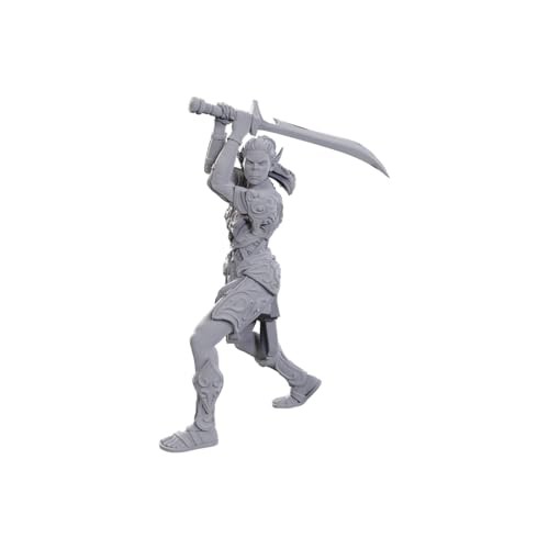 [634482963654,WIZ96365,D&D Nolzur's Marvelous Miniatures: Lae'zel & Shadowheart] D&D Nolzur's Marvelous Miniatures: Lae'zel & Shadowheart