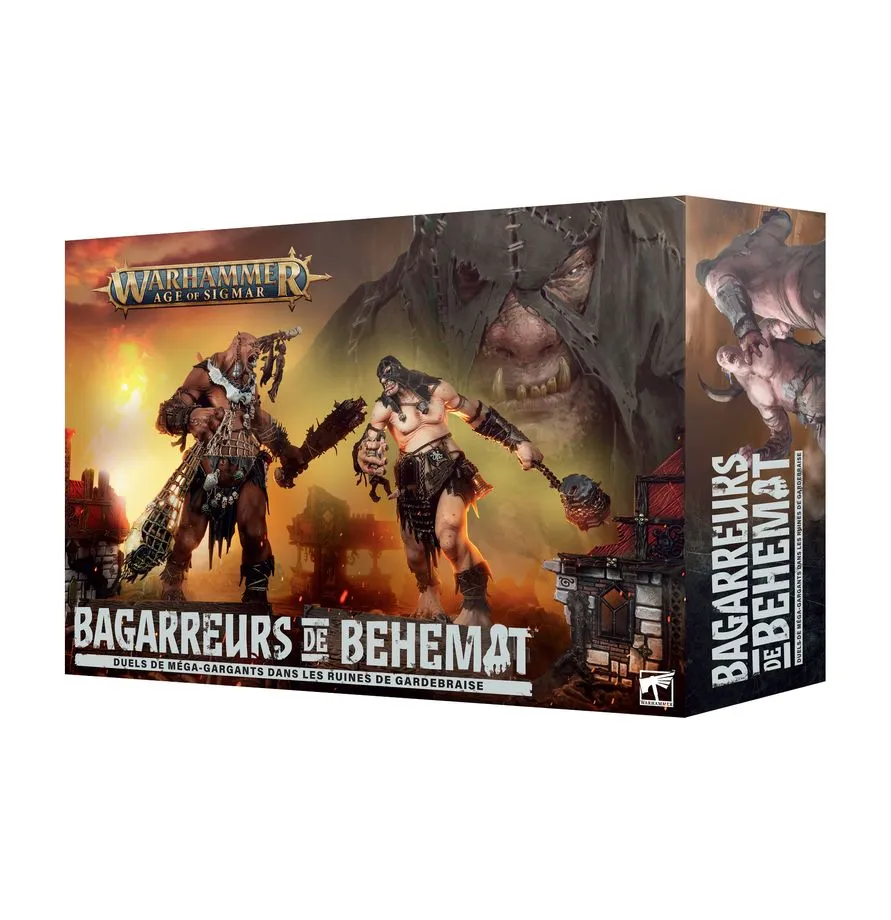 Bagarreurs de Béhémat (VF)